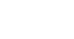 logo.n2-2017