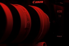 5D