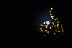 Oss-Marco-moon