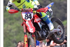 Herlings-©-oss-marco