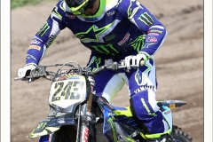 T-Gajser-©-oss-marco